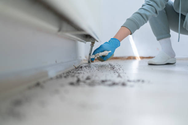 Best Exterminator Services  in Columbus, NC