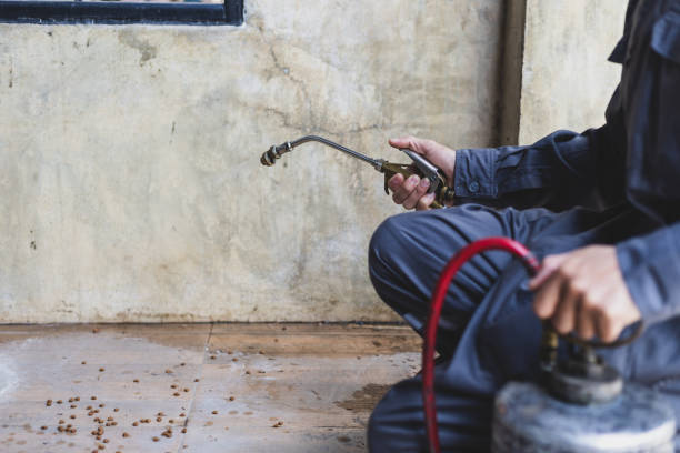 Best Affordable Pest Control Services  in Columbus, NC